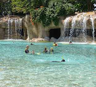 Discovery Cove