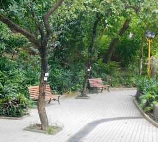 King’s Park