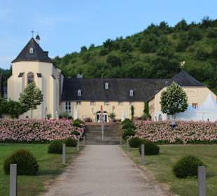 Brauhaus Kloster Machern, Wehlen