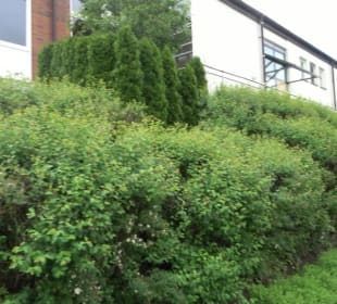 Precizer Haus Haiterbach