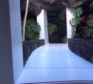 Fundacion Cesar Manrique