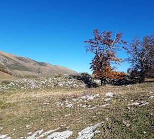 Monte Baldo