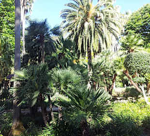 Gardens