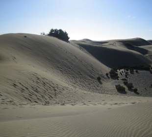 Mitten in den Dünen