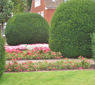 Der sehr schöne Vorgarten