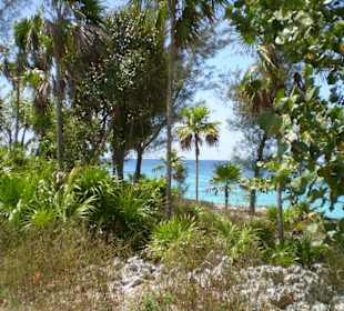 Wunderschöne Küste