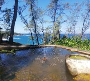 Geführte Touren Andrea Rodrige