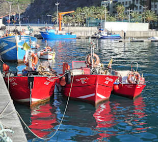 Impressionen aus dem Hafen von Calheta