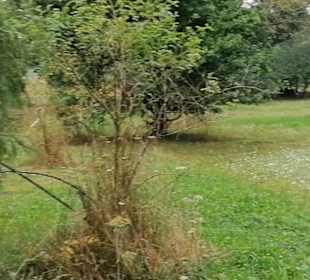 Schaugarten Eninger Weide