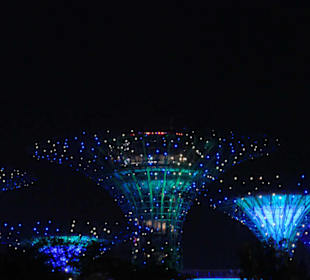 Gardens by the Bay abends