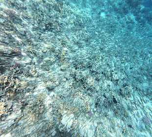 Schnorcheln Marsa Alam