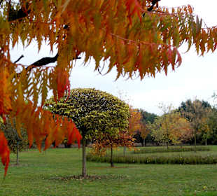Spaziergang durch den Baumpark Thedinghausen
