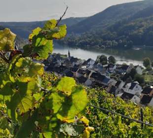 Wandern Emmelshausen