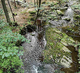 Waldwipfelweg St Englmar/Maibrunn