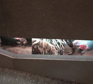 HöhlenSchauLand Hürben