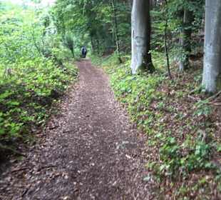 Museum Römer und Bajuwaren