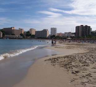Strand von Palmanova