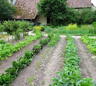 Impressionen aus dem Garten des Bauernmuseums