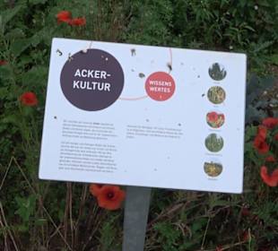 ALB-GOLD Naturgarten