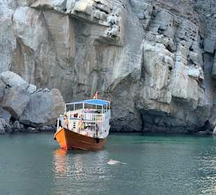 Delfine Musandam
