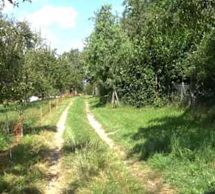 Hochgehnießen - Premiumspazierwanderweg
