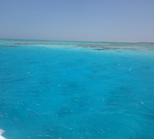 Schnorchelausflug zur Insel Orange Bay