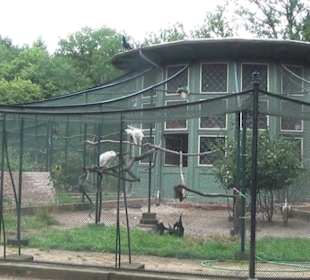 Voliére auf der Pfaueninsel