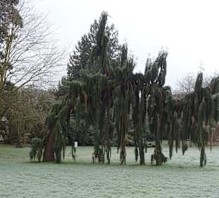 Schloss Karlsruhe Botanischer Garten