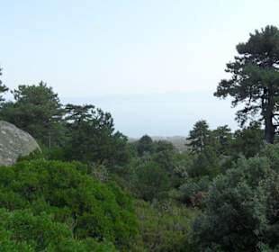 Wilde Landschaft