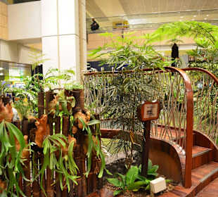 Flughafen Singapur Changi (SIN)