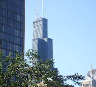Blick auf Willis Tower