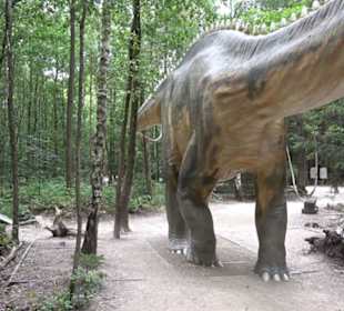 Dinosaurier Museum Altmühltal