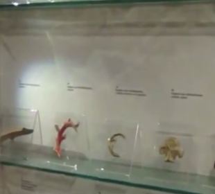 Museum für Stadtgeschichte Alpirsbach