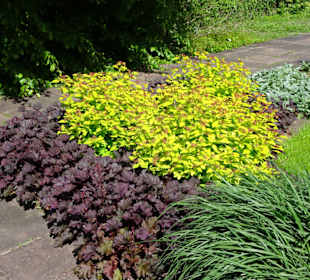 Spaziergang durch den Botanischen Garten Bremen