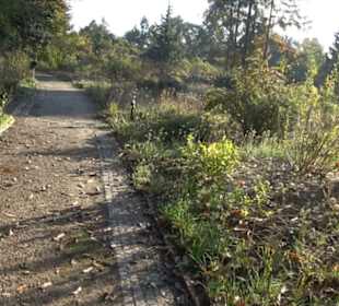 Botanischer Garten