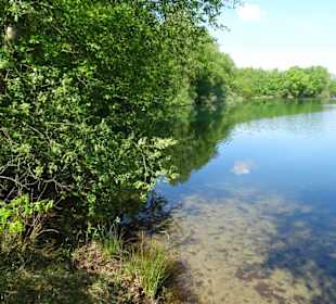Der Ellisee im Sandtrockenrasen von Achim