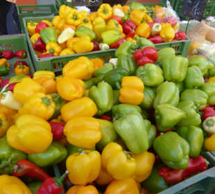 Unterwegs auf dem Viktor-Adler-Markt