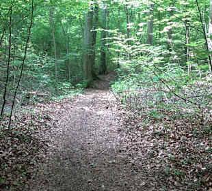 Breitenbachquelle