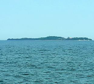 Apollo Tagestour zur Greifswalder Oie 