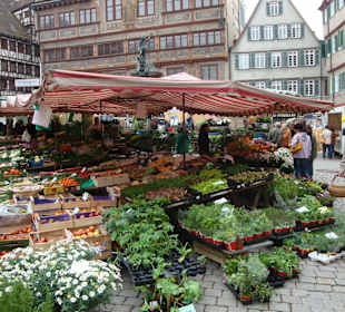 Wochenmarkt am Marktplatz