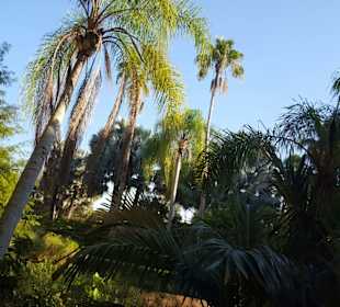 Universal Studios Florida