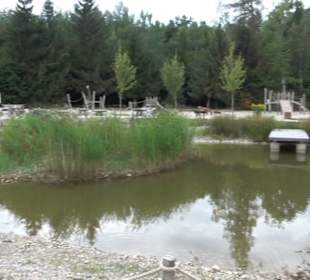 Dinosaurier Museum Altmühltal