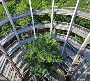 Blick in den Turm des Baumwipfelpfades