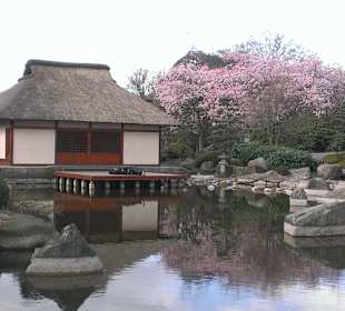 Japanischer Garten