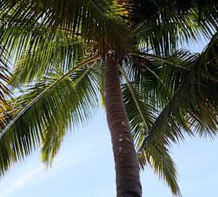 Auf dem Bacardi Beach