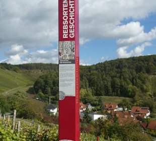 Beim terroir f (oberhalb von Ramsthal)