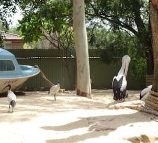 Stadtrundgang Sydney