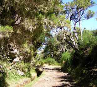 Levada Rabacal Wanderung