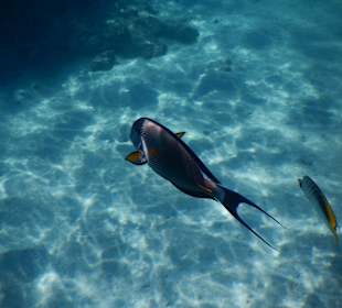 Riff am Makadi Palace