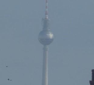 Ausblick vom Turm der Zitadelle in Spandau